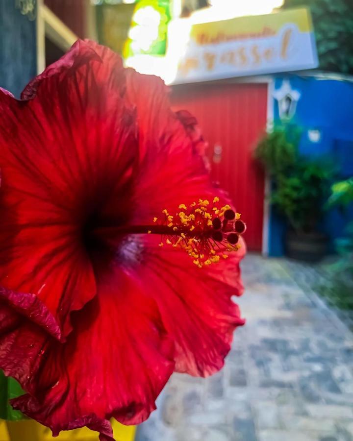 Pousada Girassol 모로데상파울루 외부 사진